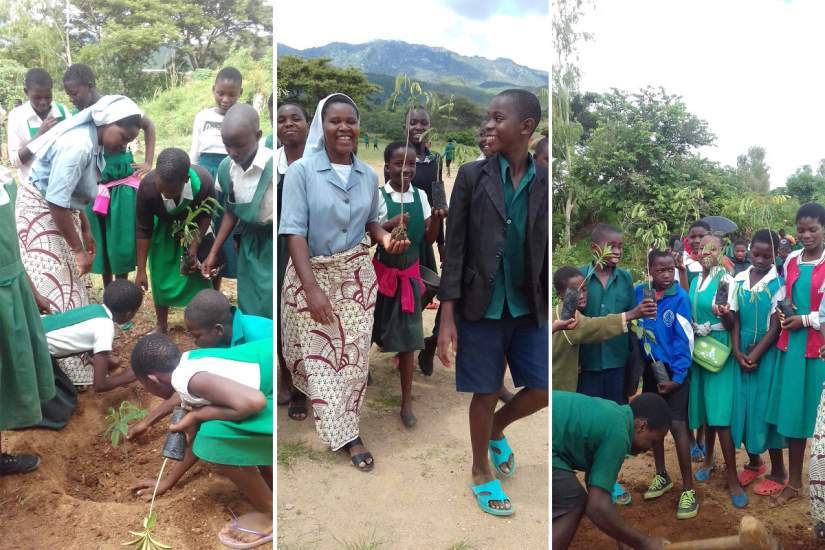 Sr. Bertha teaches her students in Ntcheu, Malawi how to plant and care for trees and protect our precious environment.