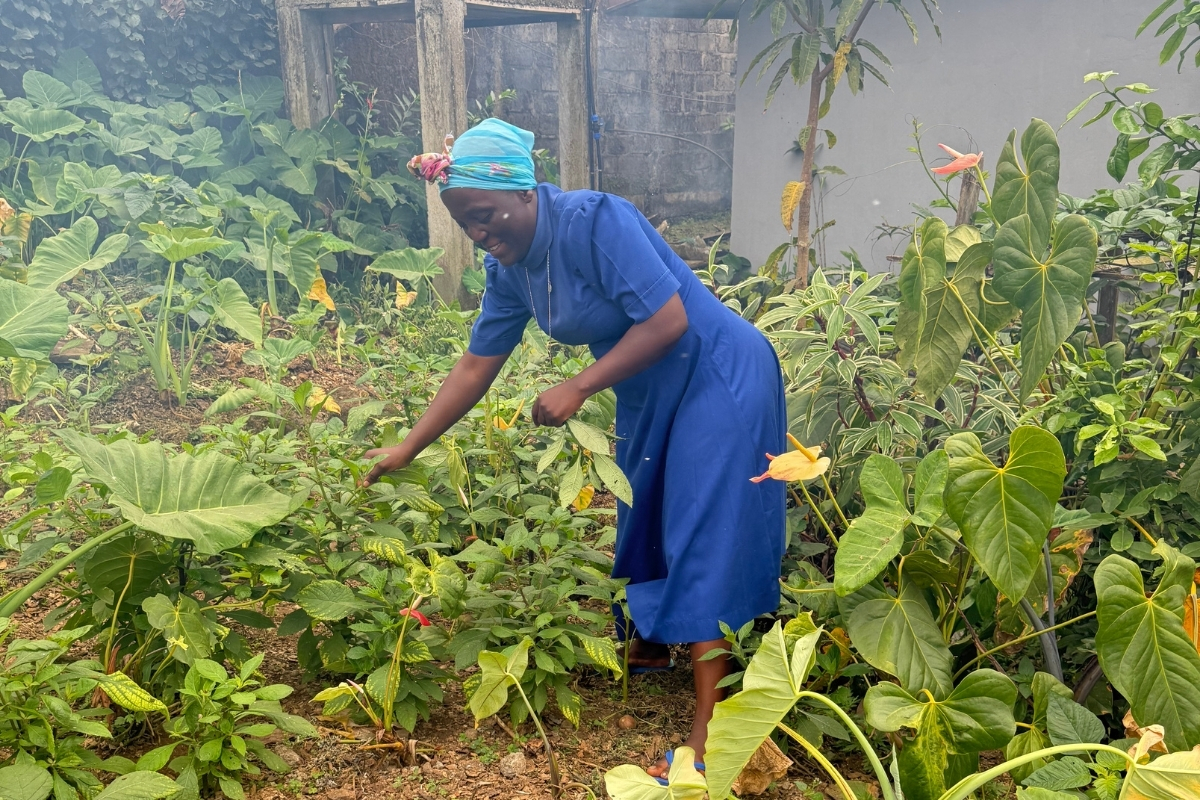 Sr. Vera tends to her flourishing organic garden, using natural methods and composted poultry droppings to grow healthy, chemical-free vegetables for her community.