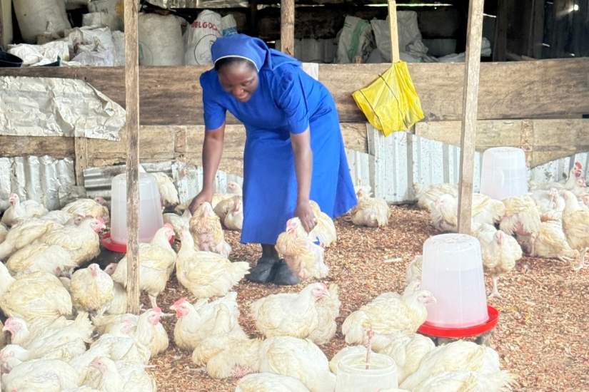 Sr. Vera cares for her flock of broilers, combining poultry farming with organic agriculture to promote healthy living and support sustainable livelihoods.