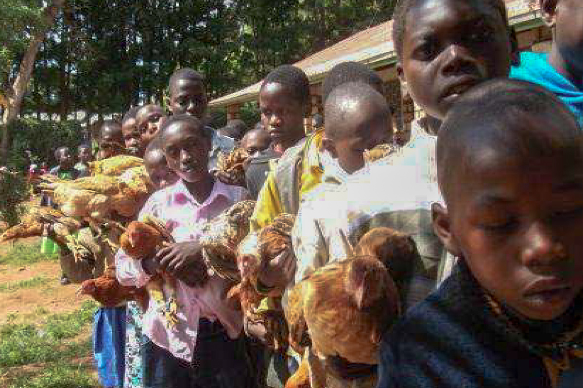 The Good Shepherd Sisters sponsor orphans and poor children who cannot afford education. Through a grant they acquired, they provide the children with school fees, uniforms, healthcare and counseling. The children also keep chickens and rabbits for nutrition and finance purposes.