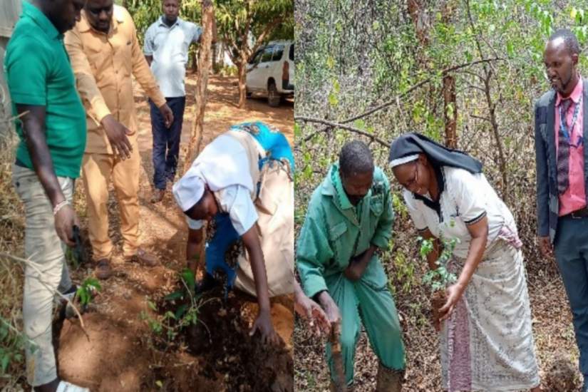 Sr. Josephine Kwenga & Sr. Magdalene Katua ASEC Alumnae planting a tree to mark a visit to their Congregations Collaborators in development programs initiatives in Kenya.