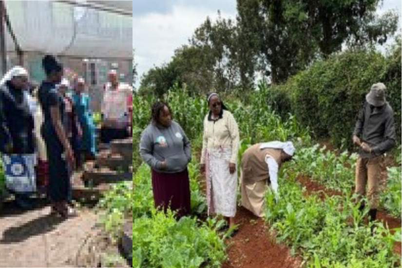 Indigenous farmers benefit from SJT’s Initiative in Muringato Village, Nyeri