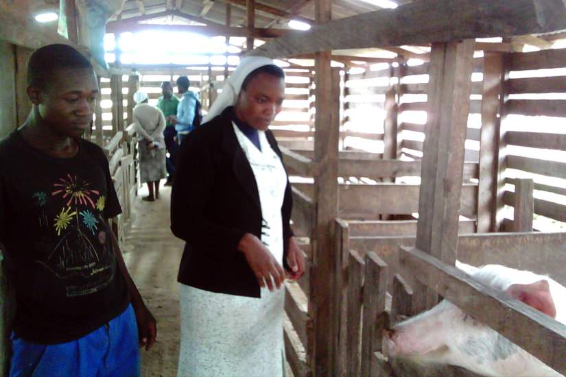 In addition to being an educational facility, St. Mary High School grows crops and raises livestock such as poultry and pigs. The income-generating activities on the farm help to pay teacher salaries, maintain the school and feed the children.