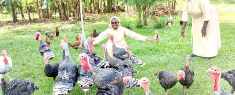 Sr. Mary Florence Anaso (right) and Sr Anne Christine Auma (left) at their farm in Kidetok
