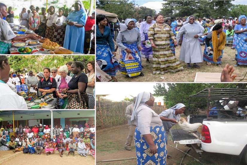 Sr. Hellen's project aims to improve food security and nutrition in Malawi in several ways. Clockwise, from top left: A kitchen demonstration; Sr. Hellen celebrating with stakeholders on the day her project was launched; purchasing goats to improve food security; beneficiaries of a training for positive parenting skills; demonstration on nutritional cooking.
