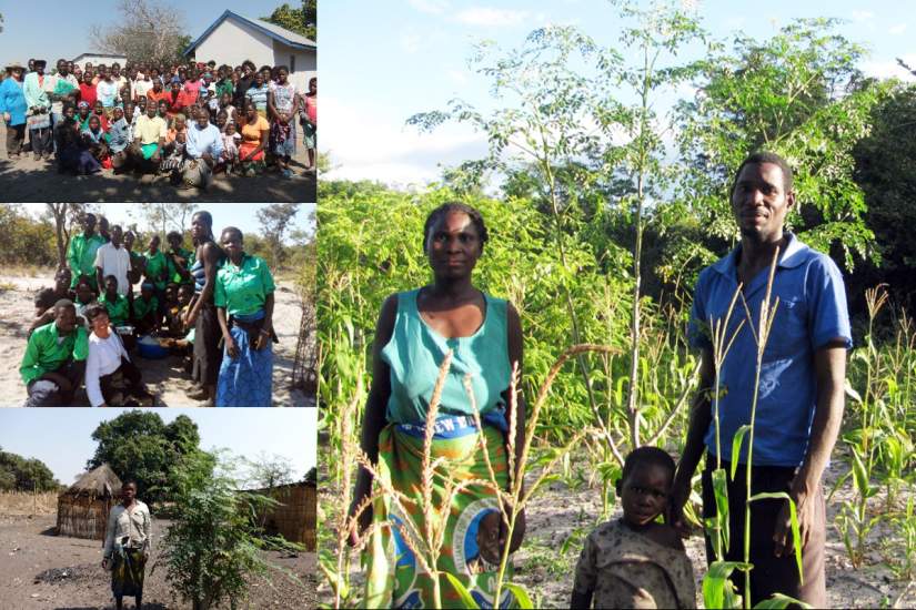 Moringa Farmers at Mother Earth Centre in Mongu, Zambia