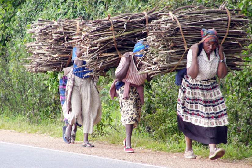 Globally, wood accounts for about 45% of the world's renewable energy supply and provides the world with more energy than solar, hydroelectric or wind power. Wood accounts for 27% of the total primary energy supply in Africa.