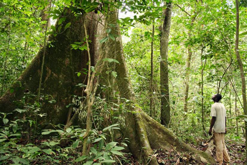 The Pope asks what are we ourselves can do to preserve the biodiversity of our common home: earth.