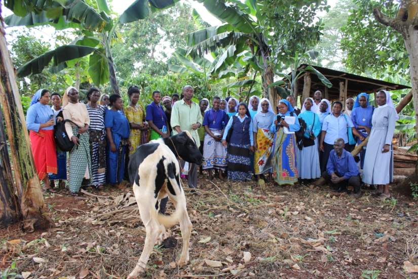 Sr. Faustina and her SLDI Finance track classmates take a field trip to a nearby sustainable farm in Uganda.