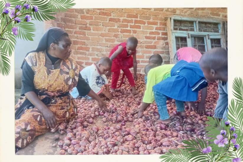Sr. Sophia and orphans check for bad onions in their crop.