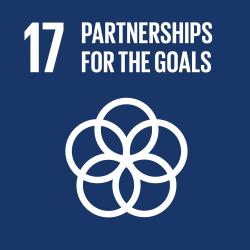Revitalize the global partnership for sustainable development