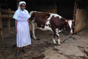 A Sustainable Farm Run by Catholic Nuns Reducing Food Insecurity in Rural Kenya