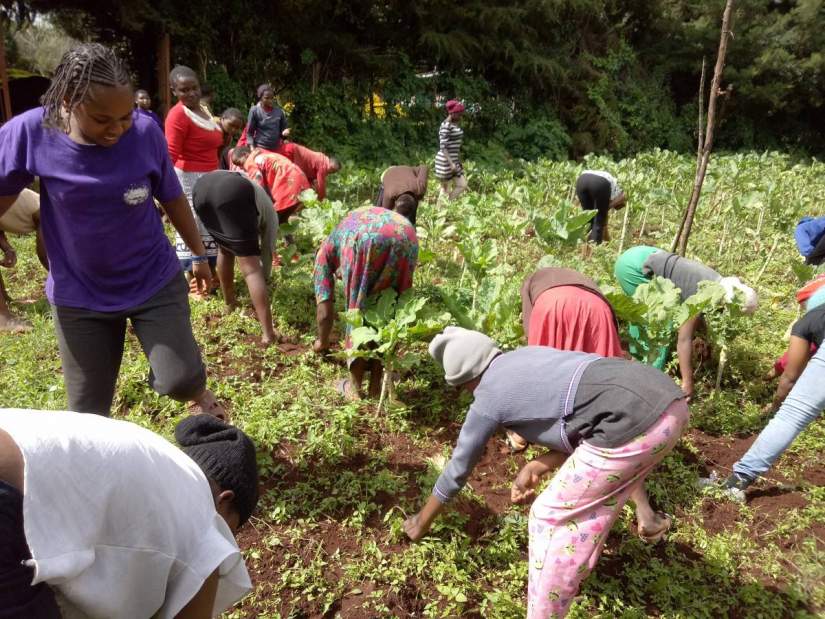 HESA alumna Sr. Anne Kamene, ASN, has applied her education to develop a farm supporting the Cheshire Home for Girls in Kenya, which provides a residential and training program for 35 young women with varying mental and physical disabilities. The home only buys about 5% of the food they eat; the rest of their food comes through donors and resources from their land.