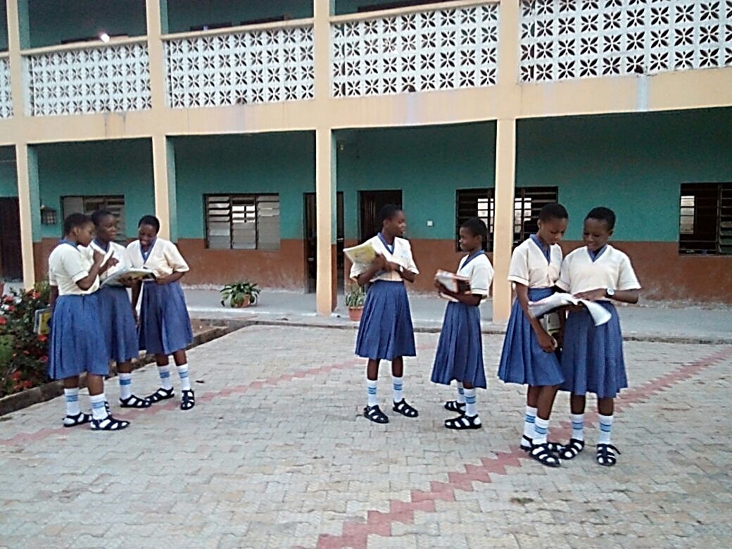 Students of the Mary Queen of Angels Catholic Girl's Secondary School in Akure, Ondo State, Nigeria. This project started in 2005 with two sisters and  Sr. Celina Adegun, SSMA, an SLDI alumna who served as the school principal until 2015. Since inception three more SLDI alumnae served at the school; Sr. Marcelina Bamisaye, SSMA as Vice President, Sr. Agnes Ayedun, SSMA as Bursar, and Sr. Benedicta Tokede, SSMA as a classroom teacher.