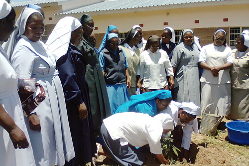 Executive members of the ASEC Alumnae Association in Malawi planting a tree.