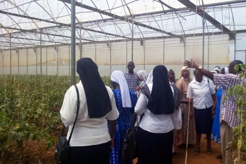 Nigerian sisters took an educational field trip to Tenti Green Farm, Vom, Plateau State.