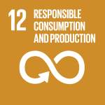 Ensure sustainable consumption and production patterns