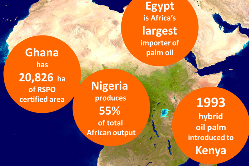 Palm Oil is the primary cooking oil in Africa