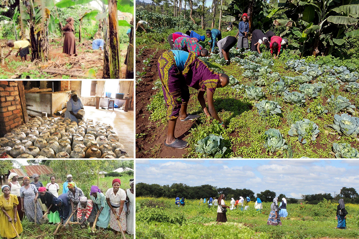 Sustainable Agriculture in rural Africa