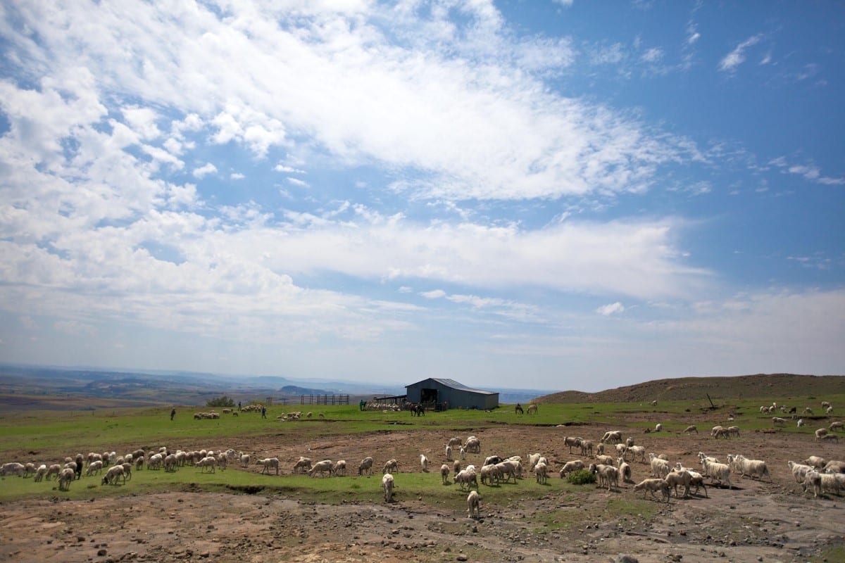 View of the landscape in Lesotho