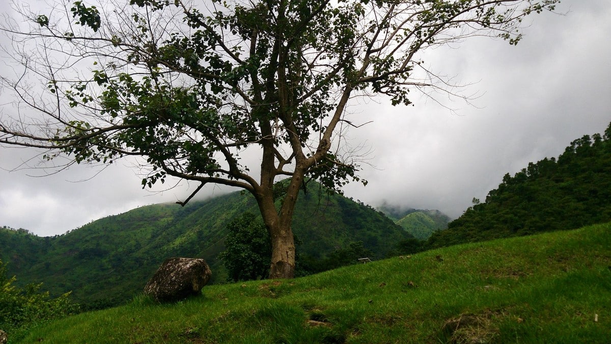View of the landscape in Nigeria