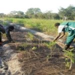 2017-zambia-motherearth_web1