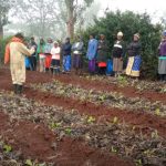 kwenga-agro_0004_Layer 4