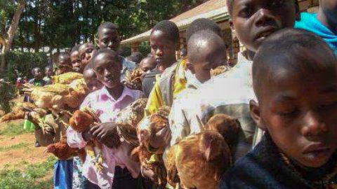 orphan-education-kenya1_web